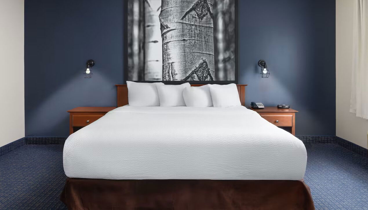 Hôtel Terra – Laurentides